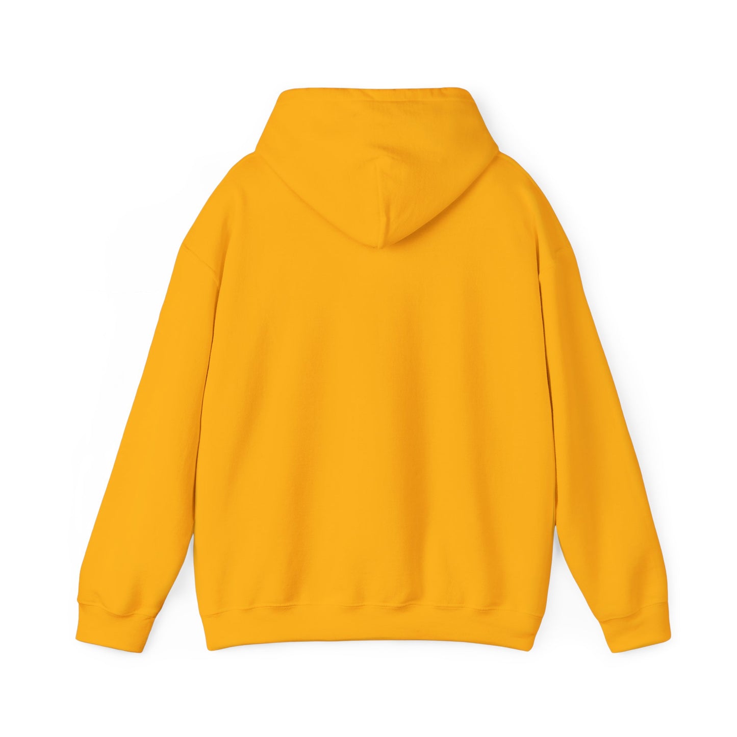 Delulu Daydreamer Hoodie