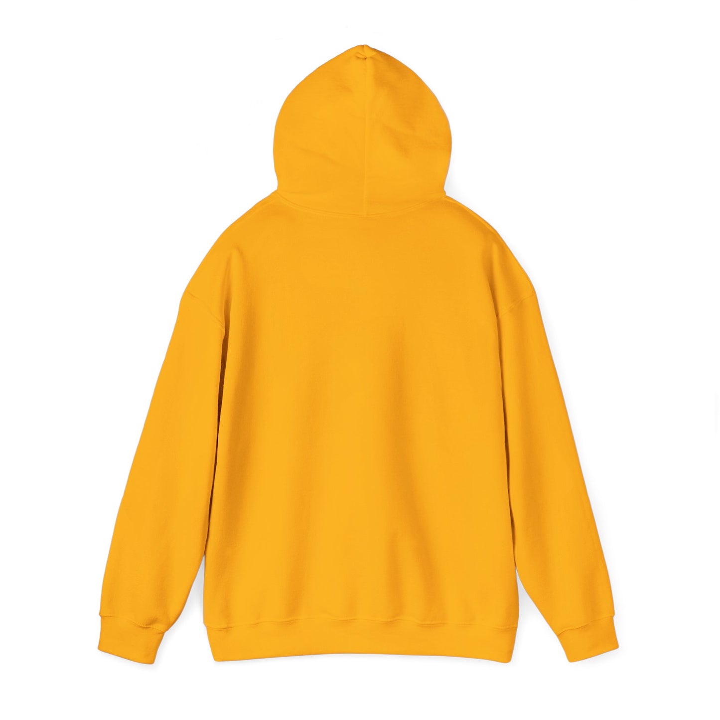 Delulu Daydreamer Hoodie
