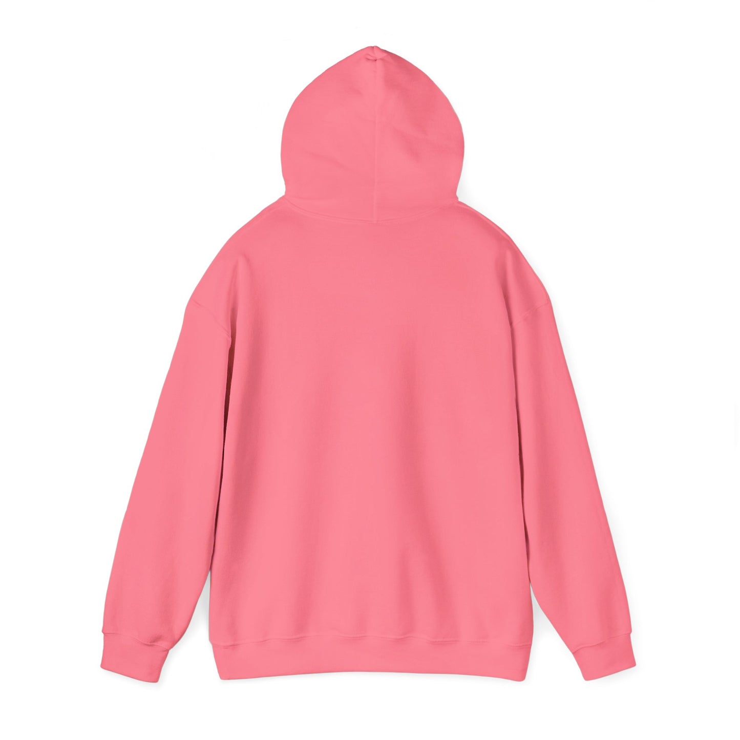 Delulu Daydreamer Hoodie