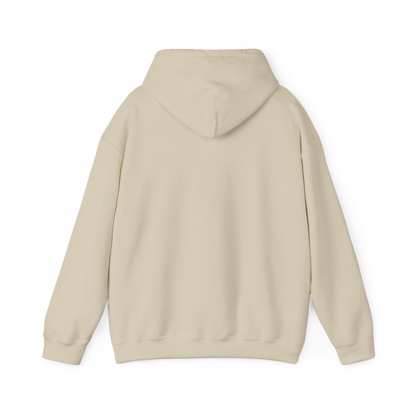 Delulu Daydreamer Hoodie